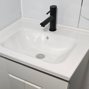 Bathroom Sink and Mixer