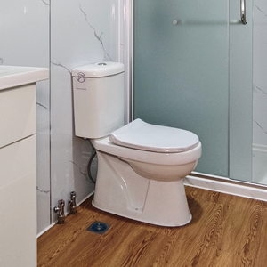 Flushing Toilet