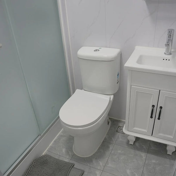 Modern Flushing Toilet